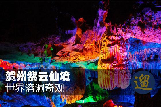 逃离森林湖畔