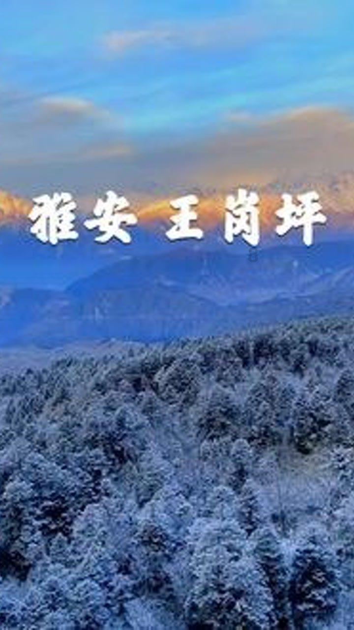 六界仙尊
