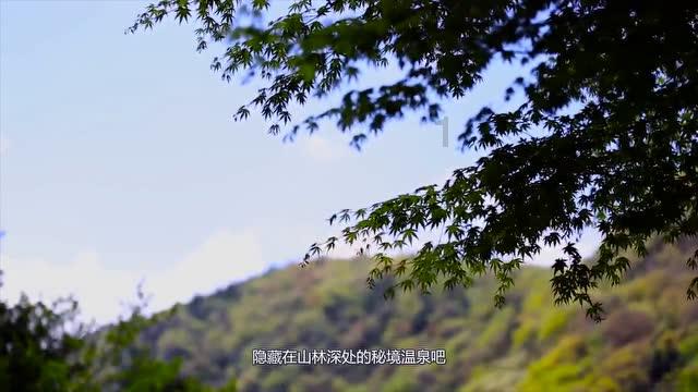 锦志卓越 璀璨风华 | 宝山技校2023年学生竞赛光荣榜