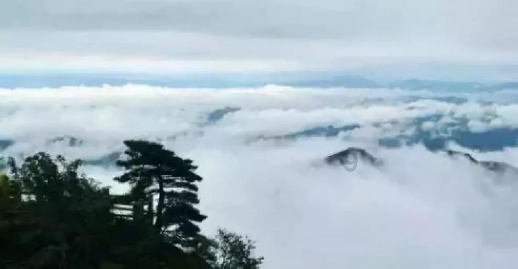 逃离破旧弃城