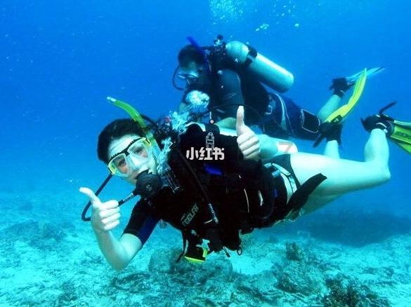 救援深海动物